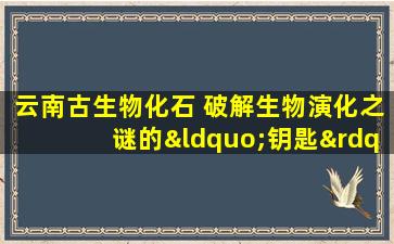 云南古生物化石 破解生物演化之谜的“钥匙”